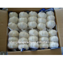 2011 nouvelle jinxiang fraîche pure ail blanc dans 10 kg carton